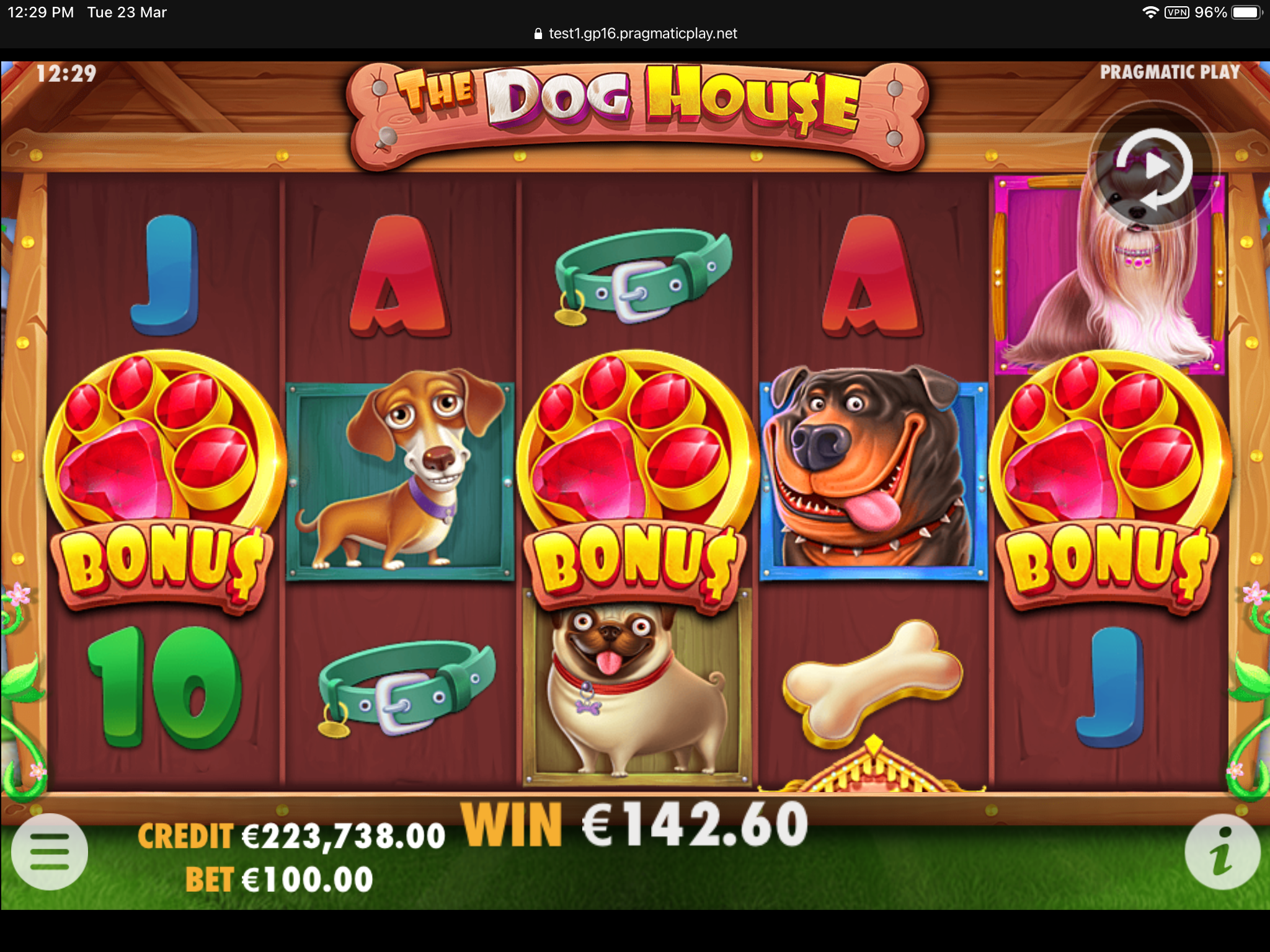 The Dog House - Muttley Crew - Big win 2