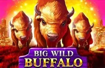 Big Wild Buffalo