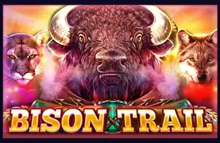 Bison Trail