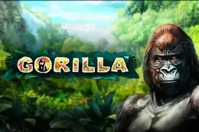 Gorilla