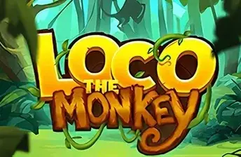 Loco The Monkey