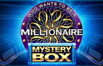 Millionaire Mystery Box