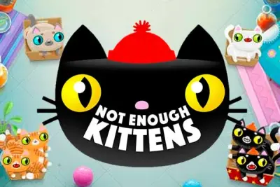 Not Enough Kittens