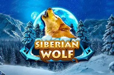 Siberian Wolf