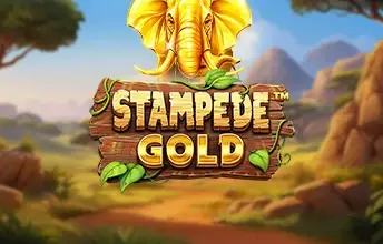 Stampede Gold
