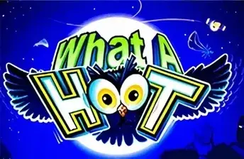 What A Hoot
